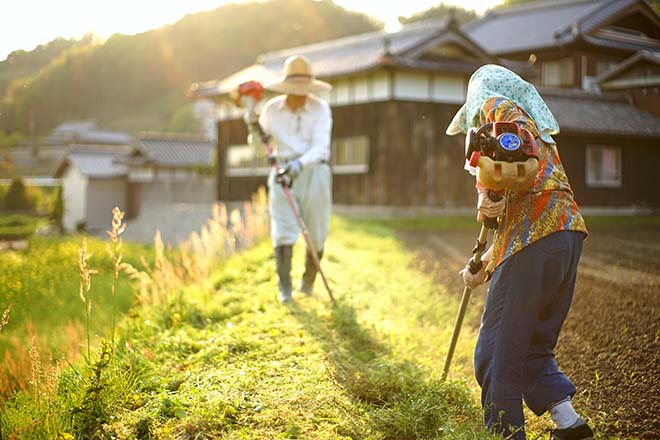 作業する農家の人たち